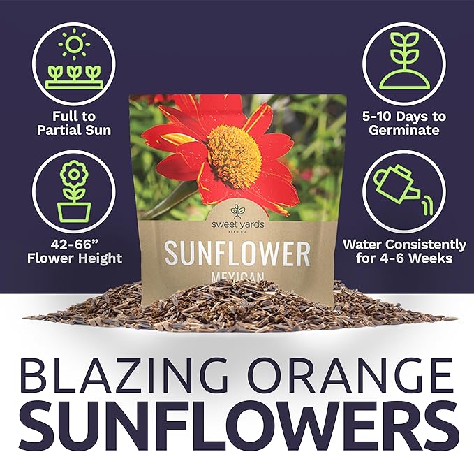 Mexican Sunflower Seeds – Extra Large Packet – Over 2,500 Open Pollinated Non-GMO Wildflower Seeds
