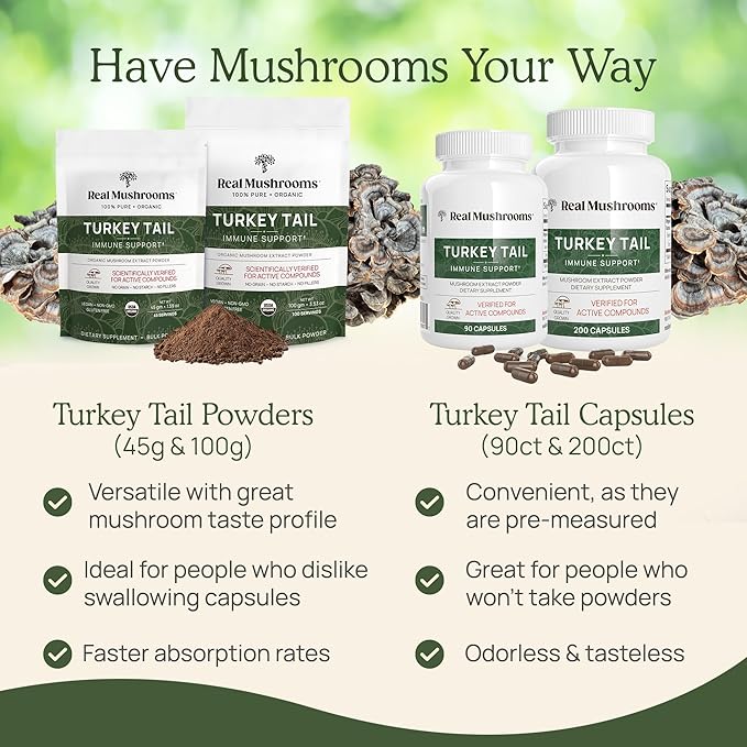 Real Mushrooms Turkey Tail Mushroom Powder ??Organic Mushroom Extract for Daily Wellness Gut