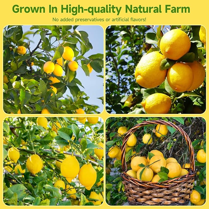 Dried Lemon Slices,3oz/85g, Dehydrated Fruit Slices For Cocktails,100% Natural No Additives No