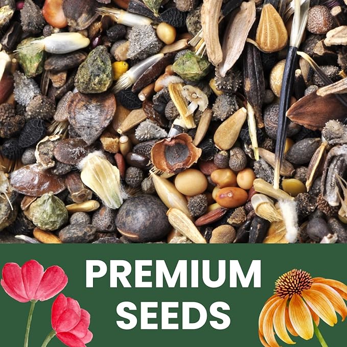 Black Mammoth Sunflower - Large 1 Ounce Packet - 250 Flower Seeds for Planting - Helianthus annuus