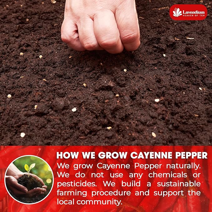 Lavendium, Premium 1.56 lbs Cayenne Pepper Powder??Pure Ground Red Pepper, Bold and Spicy Flavor