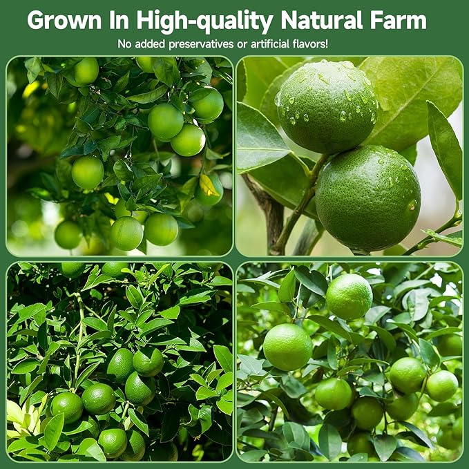 Dried Lime Slices,8.82oz/250g,Dehydrated Fruit For Cocktails,100% Natural No Additives No Sugar