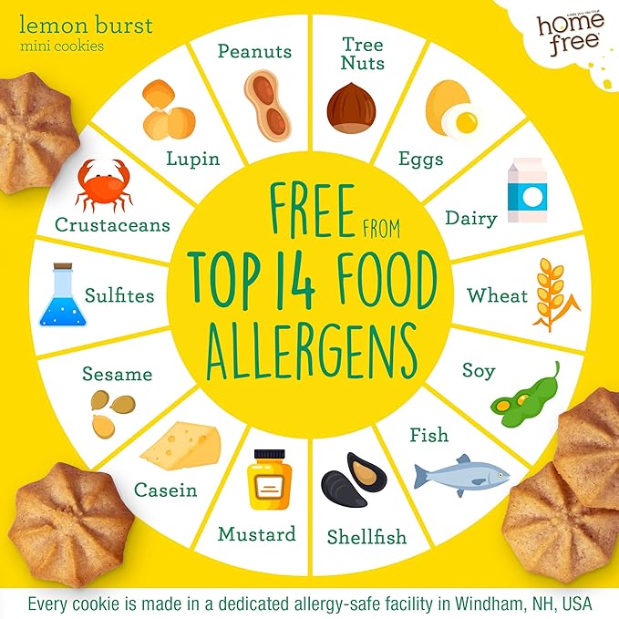 Homefree Mini Lemon Burst Cookies, Gluten Free, Nut Free, Vegan, School Safe and Allergy Friendly