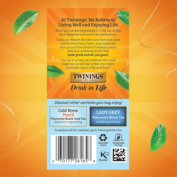 Twinings English Classic Cold Brew Iced Tea Bags, 20 Count (Pack of 6), Unsweetened Black Tea