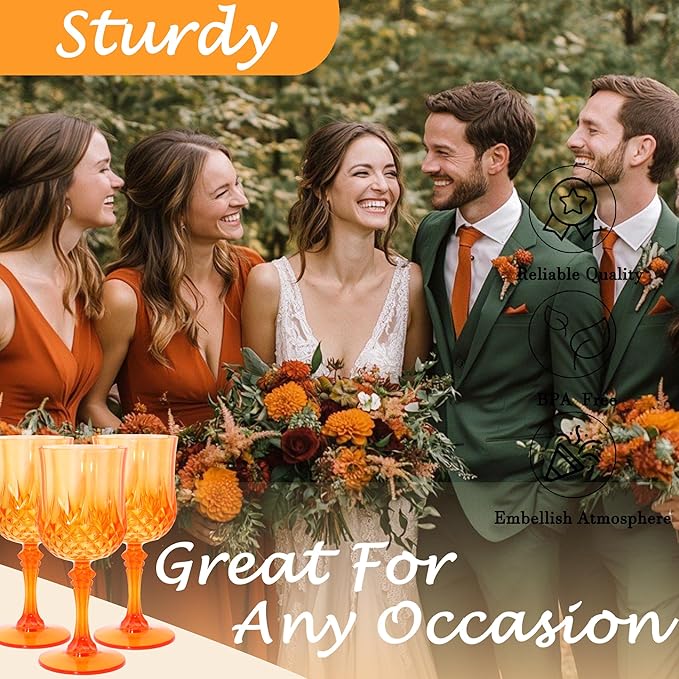 Plastic Wine Glasses，Plastic Goblets Vintage Style Cordial Drinking Glasses for Wedding Reception