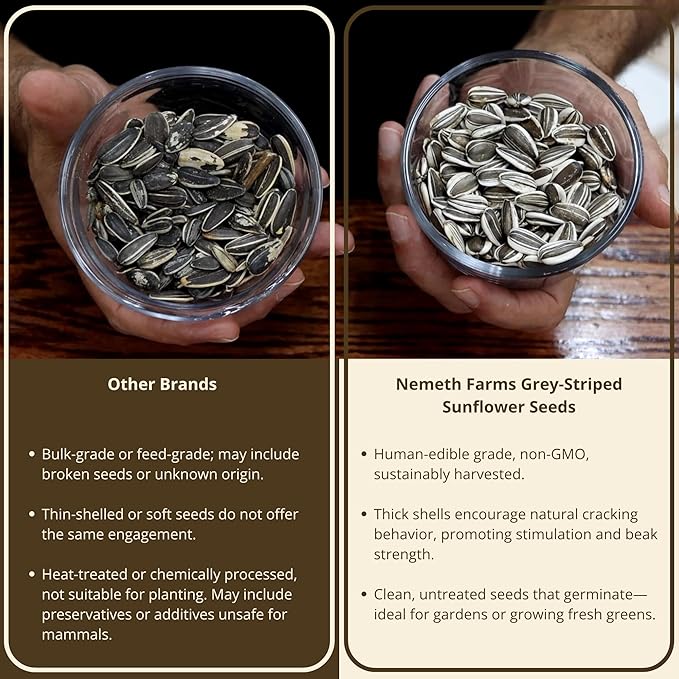5 Lb Bag | Premium Striped Sunflower Seeds for Birds - Natural Sunflower Seeds Bird Food | Non-GMO