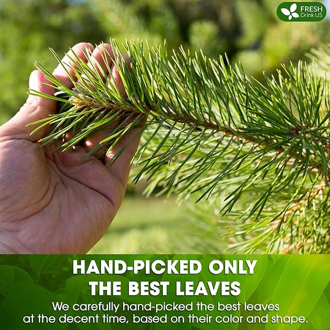 FreshDrinkUS, Pine Needle Tea Bags ??40 Tea Bags, Naturally Caffeine-Free, Refreshing Herbal Tea