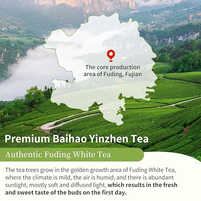 XIXICHA Silver Needle White Tea Loose Leaf Grade AAA Premium Silver Needle Tea Fuding White Tea
