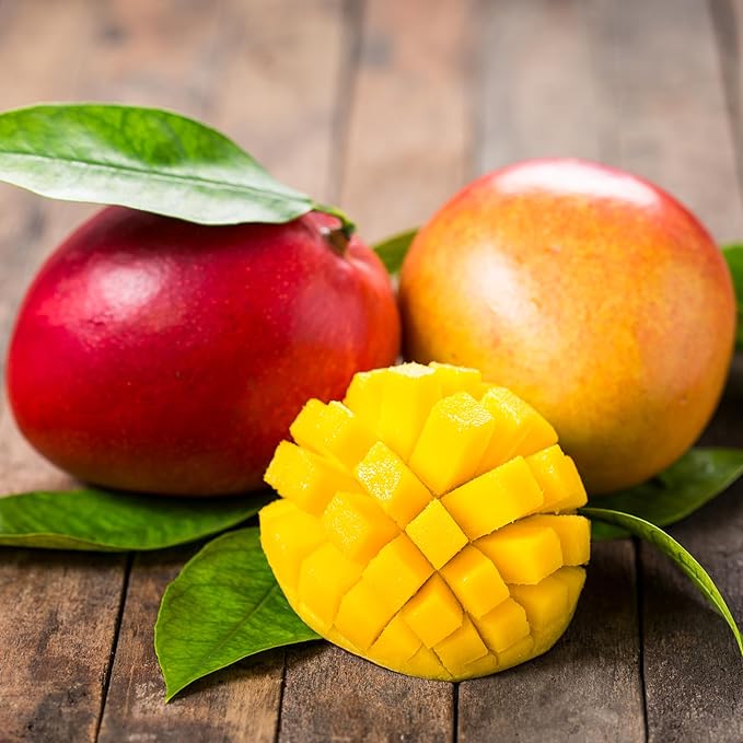 No Sugar Added Dried Mango Slices - 16 Oz Delicious Texture Soft & Juicy No Sugar Added Dried Mango