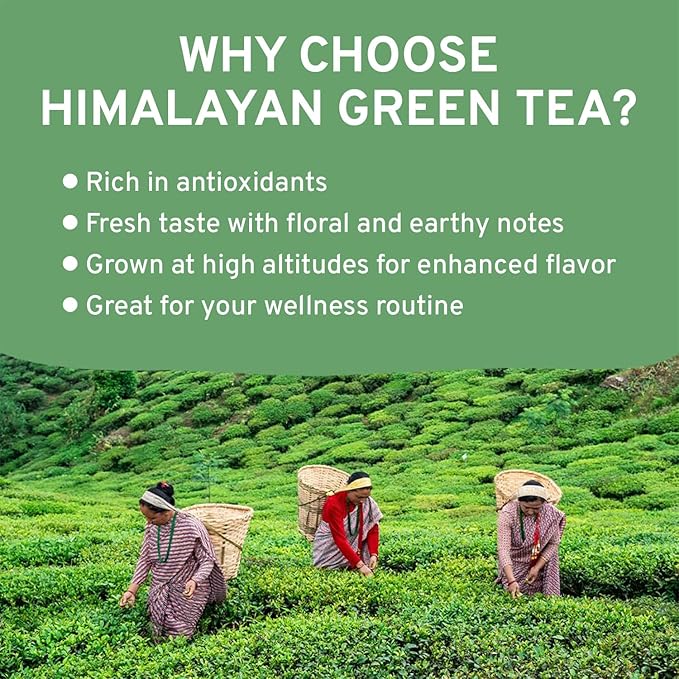 VAHDAM, Green Tea Leaves From Himalayas 170+ Cups (12oz) High Elevation Grown Green Tea Leaves From