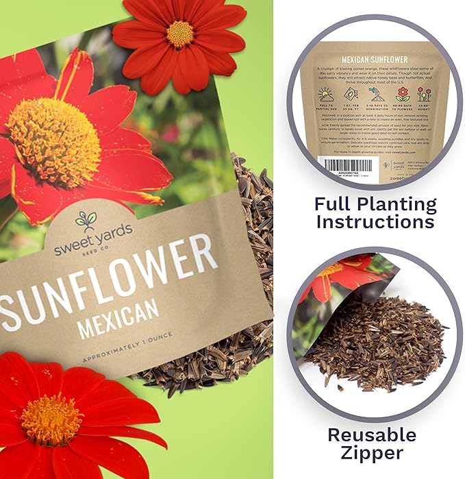Mexican Sunflower Seeds – Extra Large Packet – Over 2,500 Open Pollinated Non-GMO Wildflower Seeds