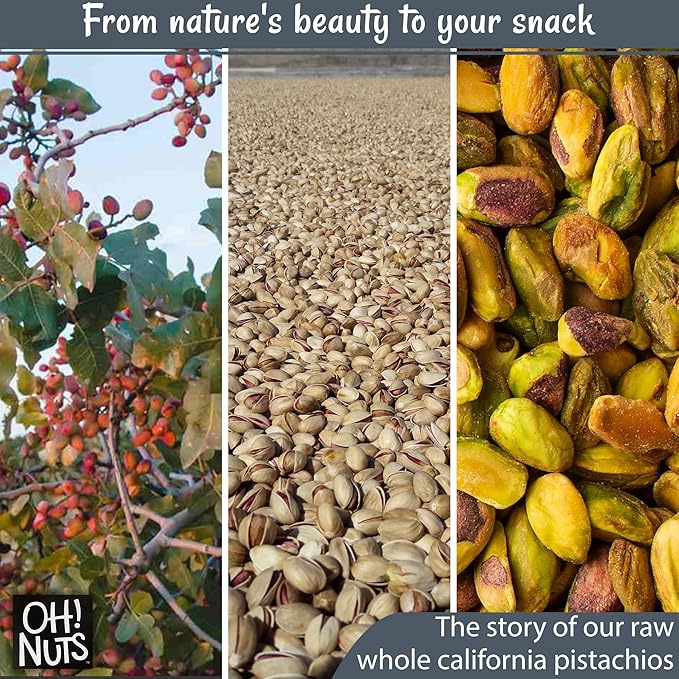 Oh! Nuts Pistachios No Shell - Raw - 100% Natural - 1 lb - Raw Whole California Pistachios - Packed
