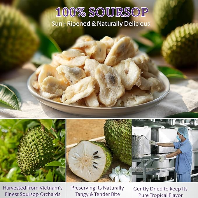 Vinamit Soft Dried Soursop | Soursop Fruit 3.5 oz bag | Natural Tropical Fruit Snack | Vegan