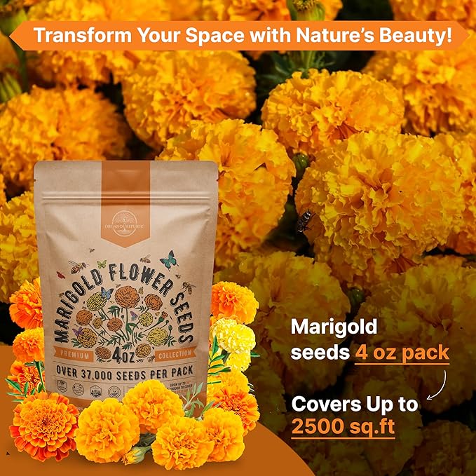 Marigold Seeds Pack 4 oz - Over 37,000 Non-GMO Heirloom Marigold Seeds for Planting Indoor &