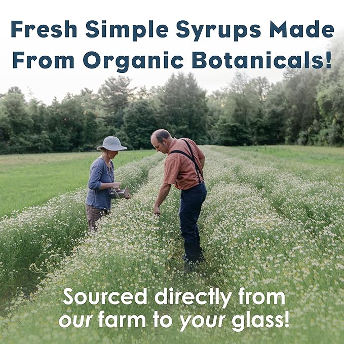 Bluestem Botanicals Organic Tulsi Basil Simple Syrup, 8 oz, Cocktail and Mocktail Mixer for Drinks