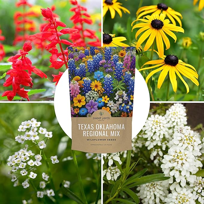 Texas Oklahoma Wildflower Seeds Mixture - Bulk 1/4 Pound Bag - Over 60,000 Native Seeds - Open
