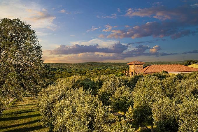 Texas Hill Country Olive Co Terra Verde Extra Virgin Olive Oil - Cold Pressed EVOO Gourmet Olive
