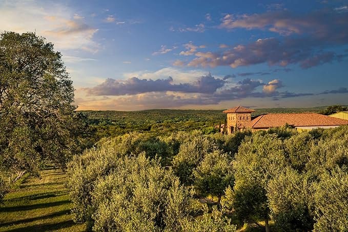 Peach Balsamic Vinegar - Gourmet Barrel Aged Infused Balsamic Vinegar - Great for Dressing Dipping