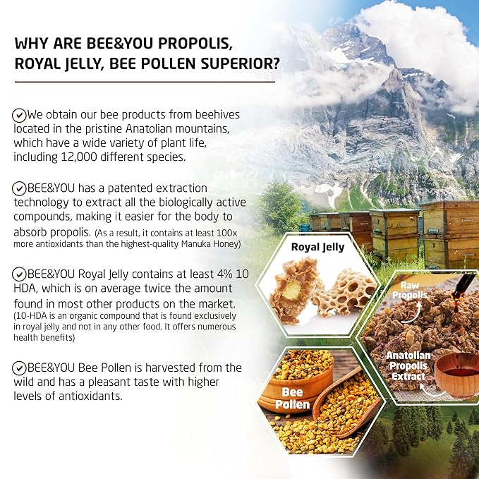 BEE and YOU Pine Raw Honey, Honeydew Honey, Wild-crafted, 100% Natural, Unprocessed, Enzymes