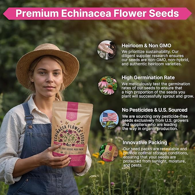 Organo Republic Echinacea Seeds Pack 4 oz - Over 37,500 Non-GMO Heirloom Echinacea Seeds for