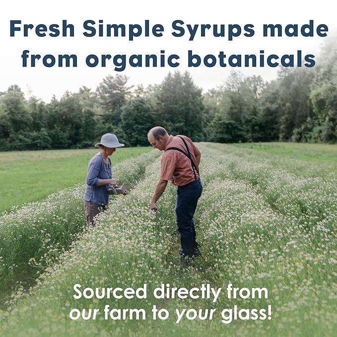 Bluestem Botanicals Organic Lemongrass Simple Syrup, 8 oz, Cocktail and Mocktail Mixer for Drinks