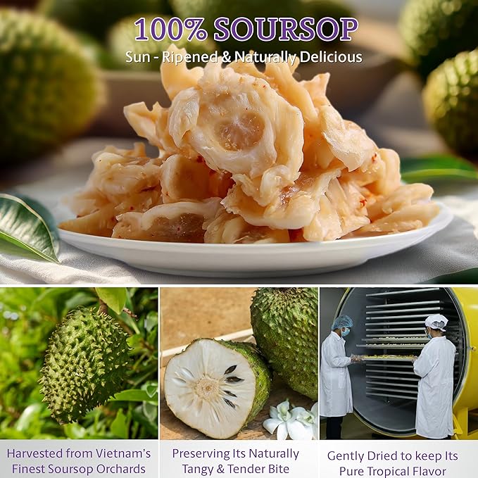 Vinamit Soft Dried Chili Soursop Fruit | 3.5 oz Bag | Tropical Fruit Snack | Vegan, Gluten-Free