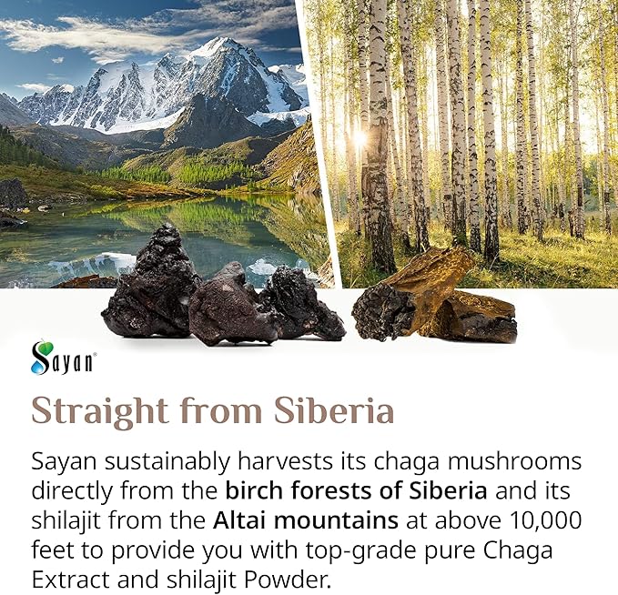 Sayan Siberian Chaga Mushroom Extract with Shilajit Powder (4 oz) ??Organic Antioxidant Tea