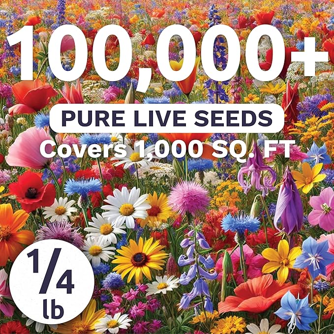 Rocky Mountain Regional Mix - Bulk 1/4 Pound Pouch - 100,000 Flower Seeds for Planting - Wildflower