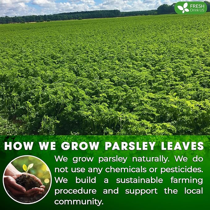 FreshDrinkUS, Premium 35 Parsley Leaf Tea Bags, 100% Natural & Pure from Parsley Leaves. Loose Leaf