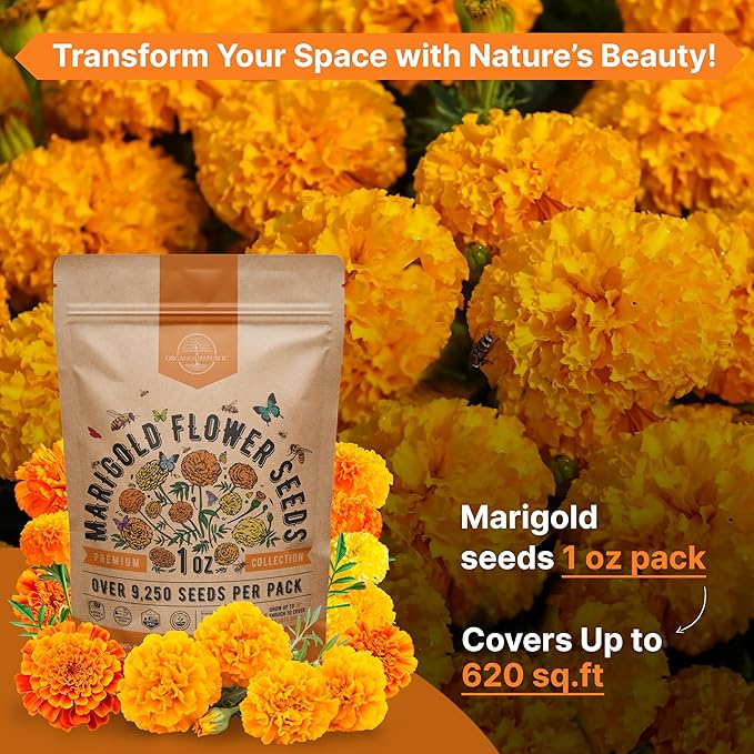 Marigold Seeds Pack 1 oz - Over 9,250 Non-GMO Heirloom Marigold Seeds for Planting Indoor & Outdoor
