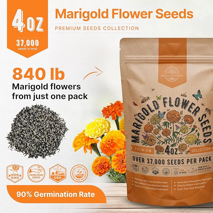 Marigold Seeds Pack 4 oz - Over 37,000 Non-GMO Heirloom Marigold Seeds for Planting Indoor &