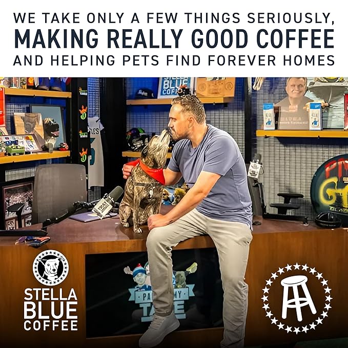 Stella Blue Whole Bean Coffee, Big Cat Blend, Medium Roast, Caramel, Hazelnut and Fruity Notes