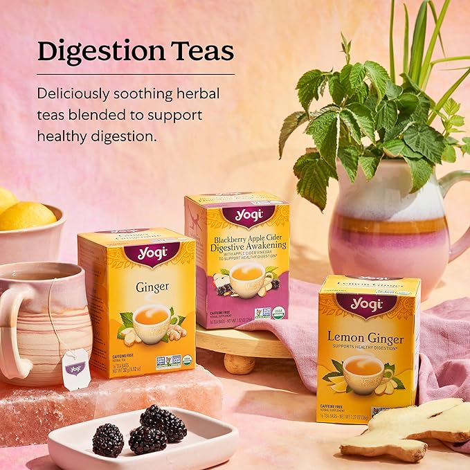 Yogi Tea Ginger Variety Sampler - 16 Bags per Pack (3 Packs) - Caffeine-Free, Organic Nausea Relief