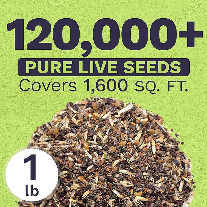 California Natives Mix - Bulk 1 Pound Bag - Over 120,000 Native Seeds - Open Pollinated and Non GMO