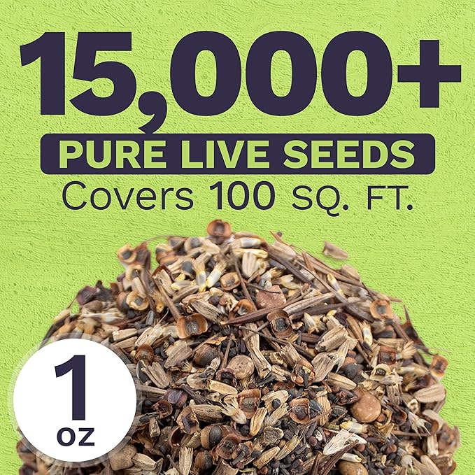 Texas Oklahoma Wildflower Seeds Mixture - Bulk 1 Ounce Packet - Over 15,000 Native Seeds - Open
