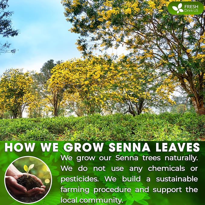 FreshDrinkUS, Permium 10oz Senna Leaves, 100% Natural & Pure from Senna Leaves, Senna Leaf Tea