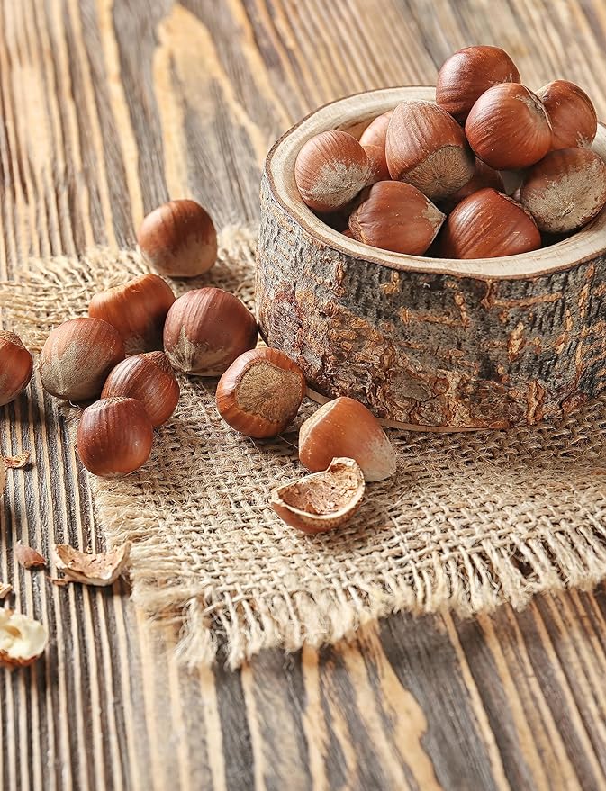 Anna and Sarah Large Oregon Hazelnuts in Shell, 5 Lbs