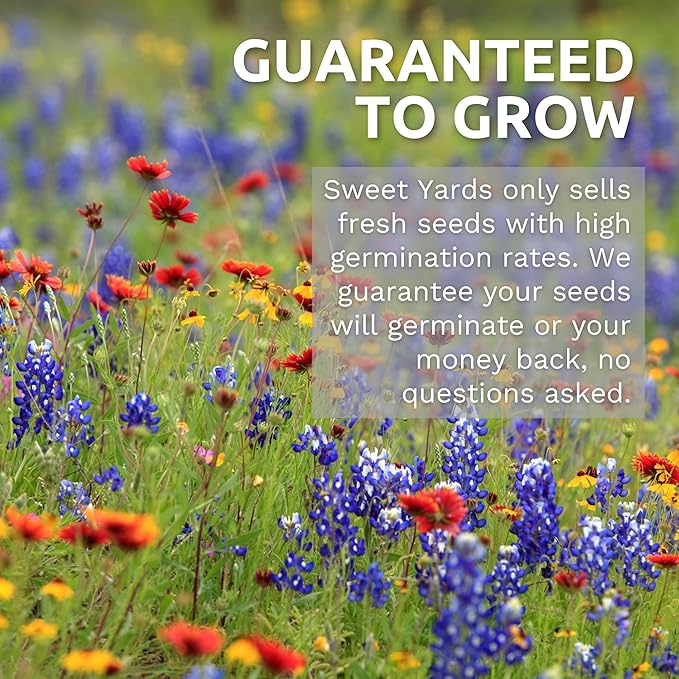 Texas Oklahoma Regional Mix Seeds for Planting - Bulk 1 Pound Bag - Over 240,000 Native Seeds
