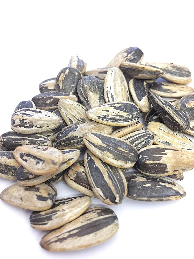 Bricktown Goods Cajun Honey Mustard Flavored Sunflower Seeds - Boldly Seasoned and Roasted In-Shell