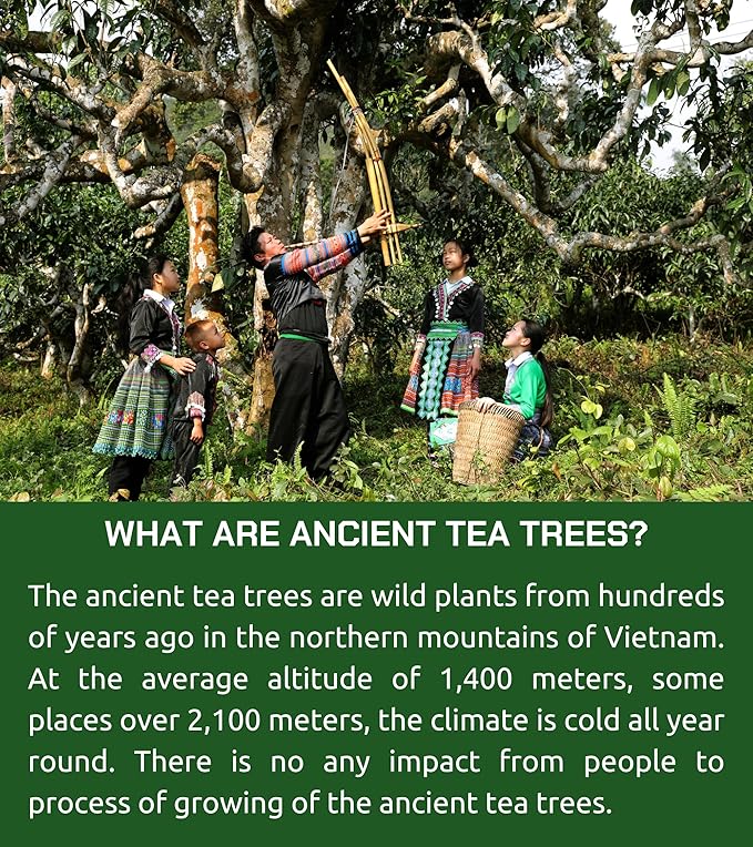 VIXI White Tea Bags, 80 Counts, Vietnam's Mountain Tea, Peony, Te Blanco, Flavored, Good Earth