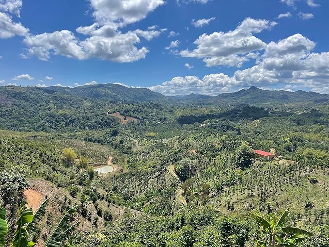 Julian Coffee - Whole Bean, Specialty Grade Single Origin Arabica Coffee From Puerto Rico. Low