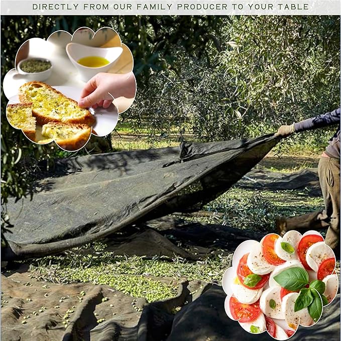 WellEatable Robust +1,200 mg/kg Polyphenol Rich Olio Italiano, New 2024-2025 Early Harvest Organic