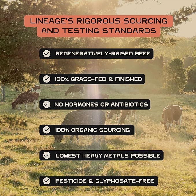 Lineage Provisions 100% Organic Raw Unfiltered Honey – 3-Pack (18 oz Glass Jars) – Undetectable