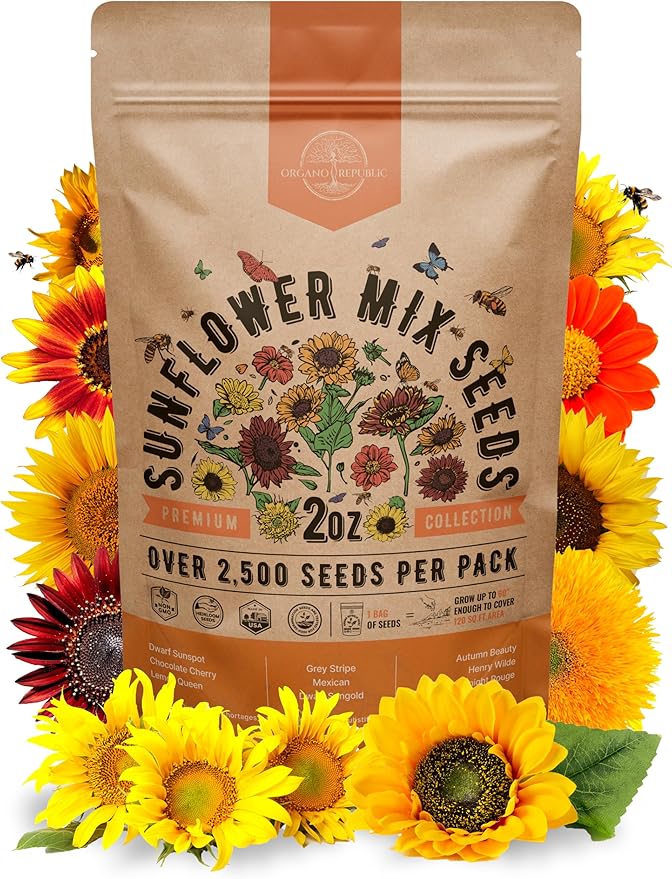 Sunflower Mix Seeds Pack 2 oz - Over 2,500 Non-GMO Heirloom Sunflower Seeds for Planting, Annual