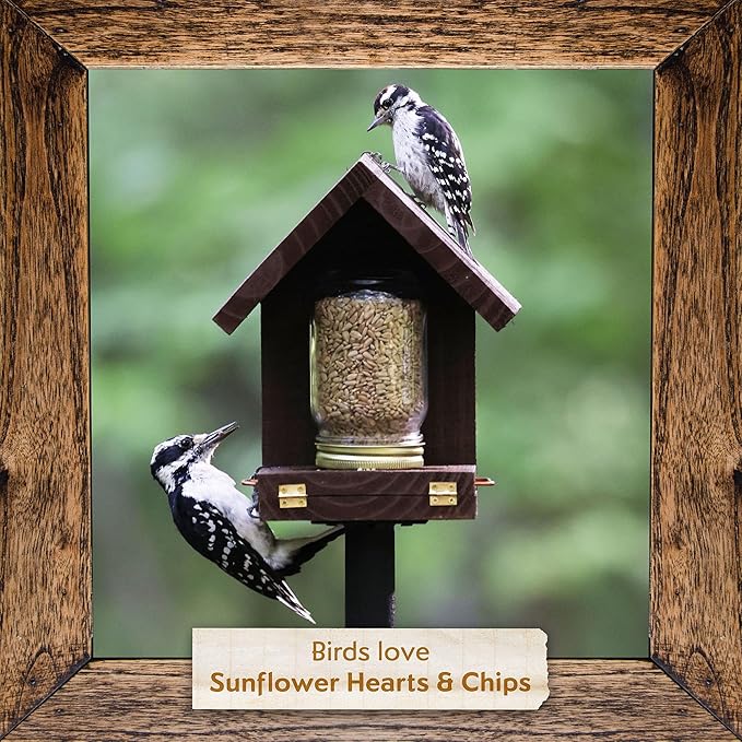 Morning Song Sunflower Hearts & Chips Wild Bird Seed – 10 lb. Premium No Mess, Shell-Free Bird Food
