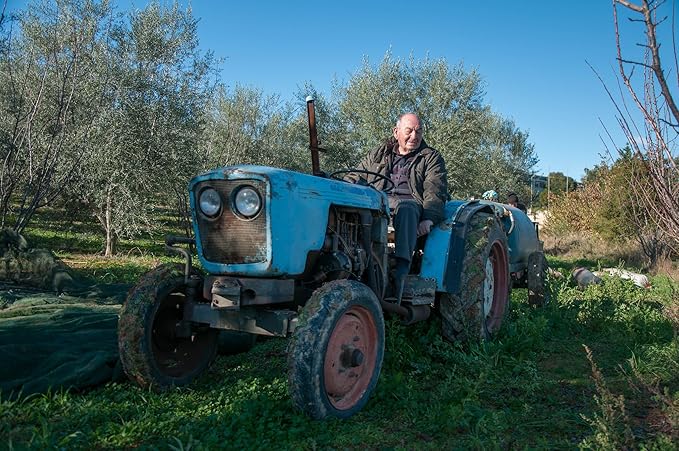 Mr. Papou's | Extra Virgin Olive Oil | First Cold Pressed | Family Owned | Harvested in Greece | 3