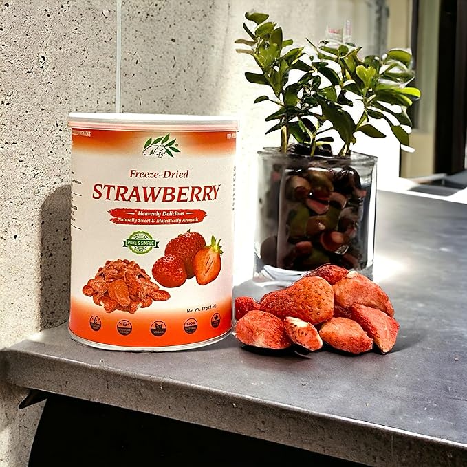 CHAVI Freeze-Dried Strawberry - Pack of 2 x 2 oz - Healthy 1 Ingredient Superfood - No Added Sugars