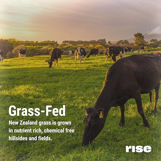 Rise Grass-Fed Whey Protein Powder - Mint Chocolate | 25g Protein No Artificial Flavors, Colors, or