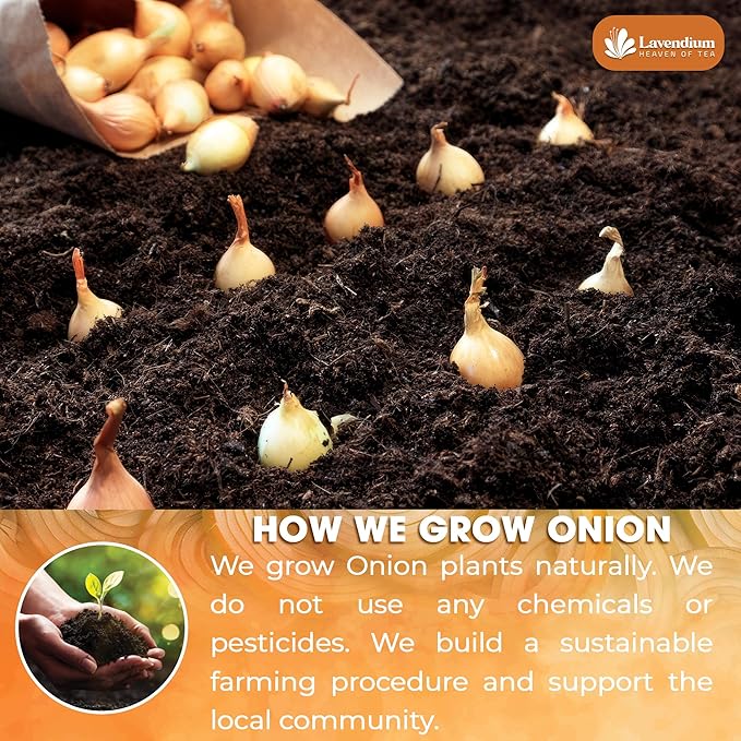 Lavendium, Premium 25oz Onion Powder, 100% Natural and Pure from Onion, Rich Flavor, Perfect for