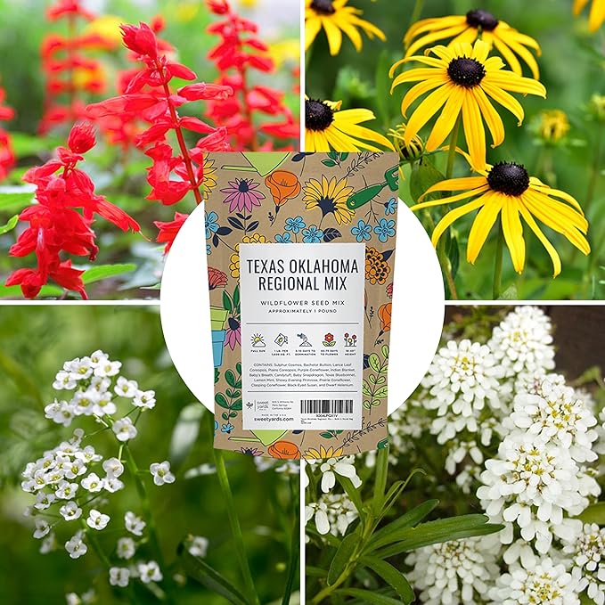 Texas Oklahoma Regional Mix Seeds for Planting - Bulk 1 Pound Bag - Over 240,000 Native Seeds